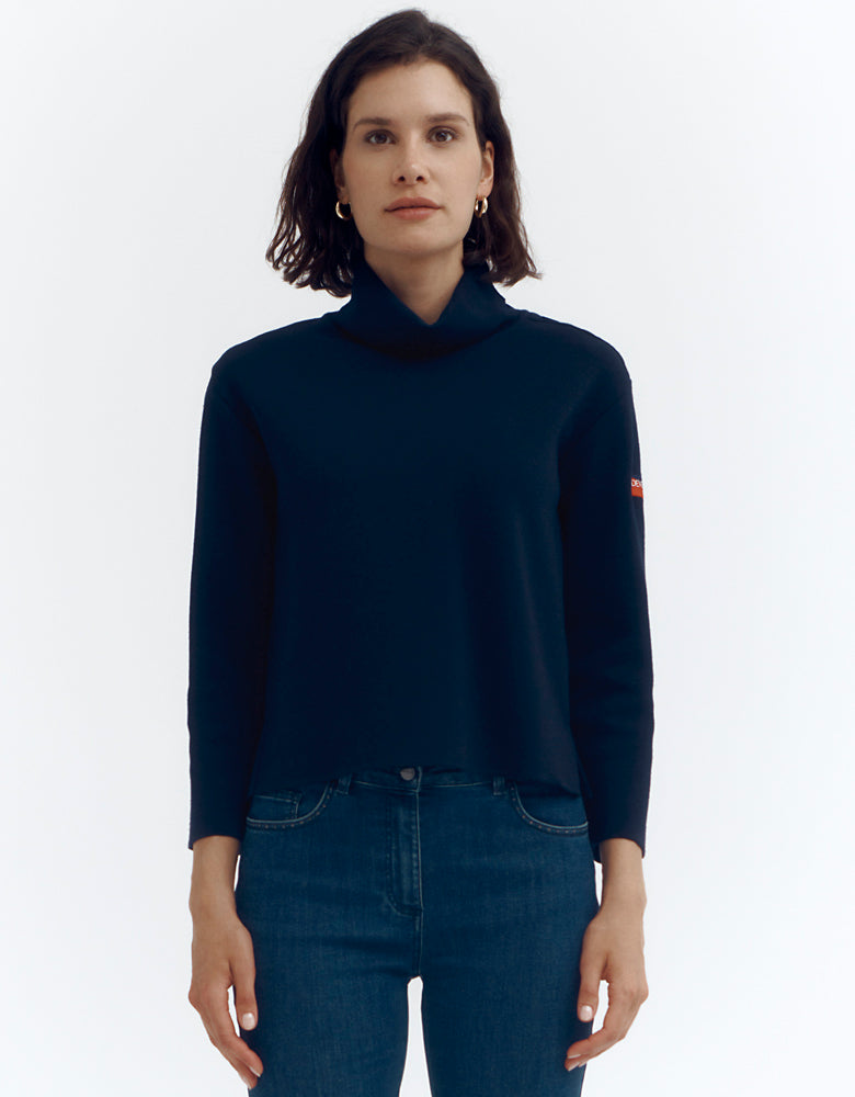 Pull maille col roulé en laine mérinos AILEEN1927/86258/317